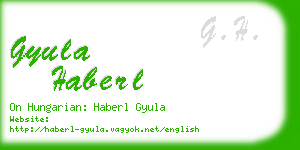 gyula haberl business card